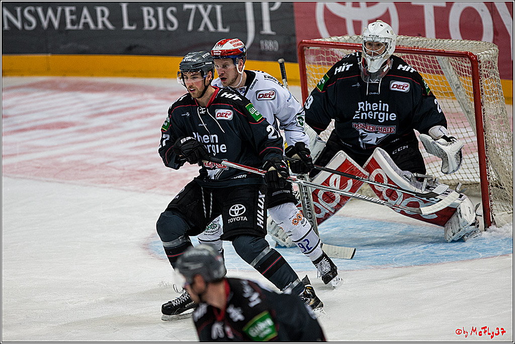 Koelner Haie - Schwenninger Wild Wings, 11.12.2016